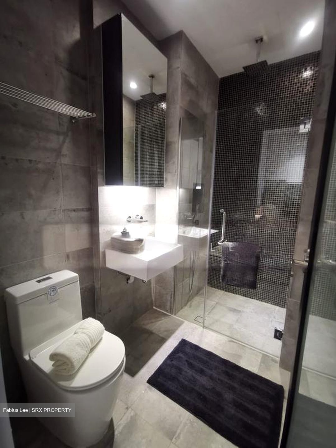 Sophia Road (D9), Condominium #553101041